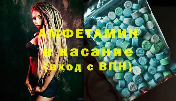 индика Балабаново