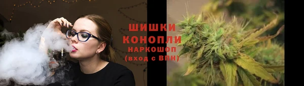 индика Балабаново