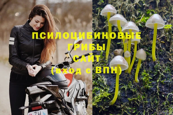 индика Балабаново