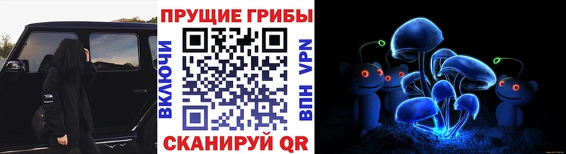 Псилоцибиновые грибы ЛСД  наркотики  Слободской 